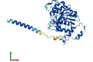 Protein Structure (PS) image for ST3 beta-Galactoside alpha-2,3-Sialyltransferase 3 (ST3GAL3) (AA 1-374) protein (His tag) (ABIN7556783)