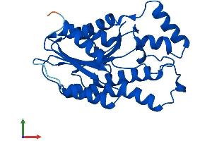 AlphaFold protein structure predicition of Human Recombinant SPR Protein, UniprotID P35270