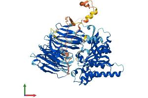 Protein Structure (PS) image for Prolyl Endopeptidase Like Protein (PREPL) (AA 1-727) protein (His tag) (ABIN7550972)
