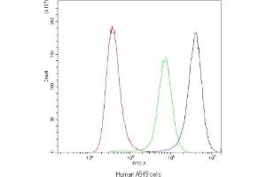 Flow Cytometry (FACS) image for anti-Synaptotagmin I (SYT1) antibody (ABIN5647273)