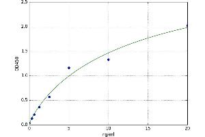 A typical standard curve
