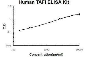 Human TAFI/CPB2 EZ Set ELISA Kit standard curve (人 TAFI/CPB2 EZ Set™ ELISA Kit (DIY Antibody Pairs))