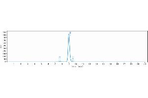 anti-HGF (Ficlatuzumab Biosimilar) antibody