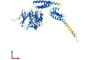 Protein Structure (PS) image for Unc-51-Like Kinase 3 (ULK3) (AA 1-472) protein (His tag) (ABIN7555943)