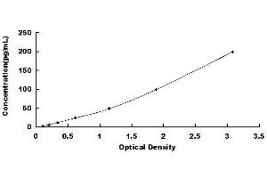 Typical standard curve (IL12 ELISA 试剂盒)