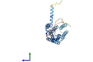 Protein Structure (PS) image for ELOVL Fatty Acid Elongase 4 (ELOVL4) (AA 1-312) protein (His tag) (ABIN7561395)