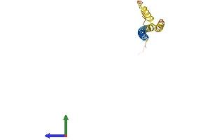 AlphaFold protein structure predicition of Human Recombinant IFITM1 Protein, UniprotID P13164 (IFITM1 Protein (AA 1-125) (His tag))