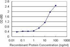 STIP1 (Human) Matched Antibody Pair