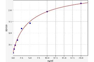 TACR1 ELISA 试剂盒