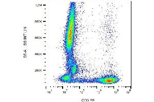 Flow cytometry analysis of human peripheral blood  stained with CRIS1 antibody PE. (CD5 抗体  (PE))