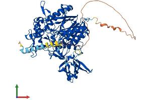 Protein Structure (PS) image for N-Acylsphingosine Amidohydrolase (Non-Lysosomal Ceramidase) 2 (ASAH2) (AA 1-780) protein (His tag) (ABIN7552361)