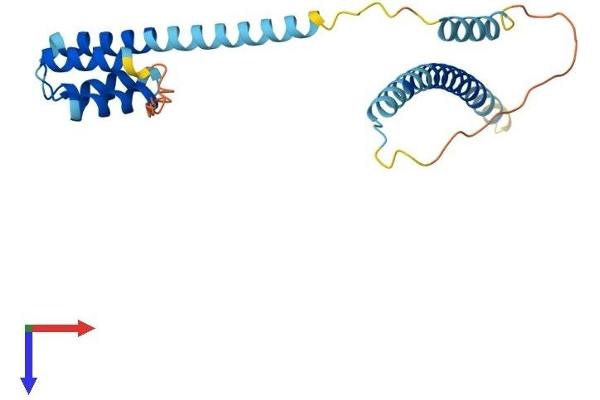 CCDC43 Protein (AA 1-224) (His tag)
