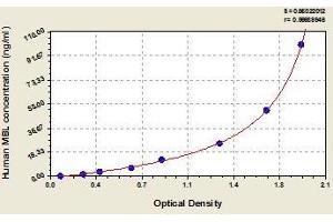ELISA image for Mannose-Binding Lectin (Protein C) 2, Soluble (MBL2) ELISA Kit (ABIN367216)