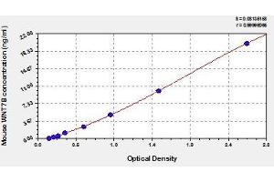 Typical standard curve (WNT7B ELISA 试剂盒)