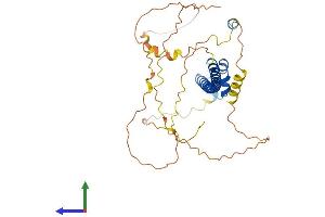 AlphaFold protein structure predicition of Mouse Recombinant Mafa Protein, UniprotID Q8CF90