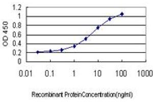 Detection limit for recombinant GST tagged TEK is approximately 0. (TEK 抗体  (AA 701-800))
