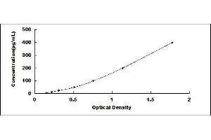 Growth Differentiation Factor 11 (GDF11) ELISA Kit