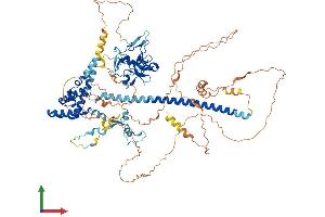 AlphaFold protein structure predicition of Human Recombinant JADE1 Protein, UniprotID Q6IE81
