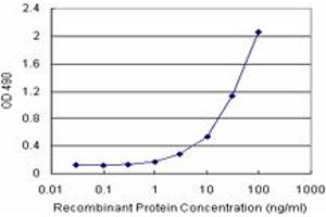 CSTB (Human) Matched Antibody Pair