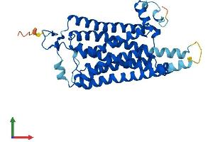 Protein Structure (PS) image for Trace Amine Associated Receptor 6 (TAAR6) (AA 1-345) protein (His tag) (ABIN7557501)