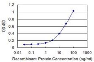 Detection limit for recombinant GST tagged SCLY is 0. (SCLY 抗体  (AA 346-444))