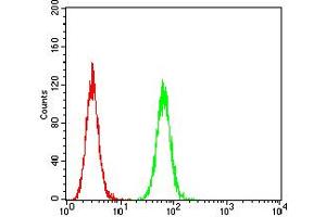 Flow cytometric analysis of Hela cells using HTR3B mouse mAb (green) and negative control (red). (Serotonin Receptor 3B 抗体  (AA 23-150))