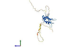Protein Structure (PS) image for RNA Binding Protein with Multiple Splicing (RBPMS) (AA 1-196) protein (His tag) (ABIN7551243)
