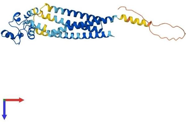 TSPAN12 Protein (AA 1-305) (His tag)