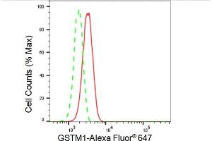 Flow cytometric analysis of GSTM1 expression in HepG2 cells using GSTM1 antibody (ABIN7798756), 1:2,000). (Recombinant GSTM1 抗体)