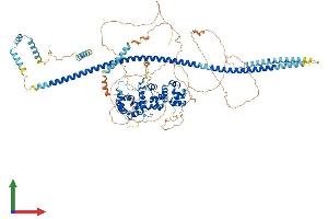 Protein Structure (PS) image for PTPRF Interacting Protein, Binding Protein 1 (Liprin beta 1) (PPFIBP1) (AA 1-969) protein (His tag) (ABIN7564525)