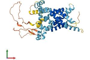 Protein Structure (PS) image for Solute Carrier Family 25, Member 39 (SLC25A39) (AA 1-359) protein (His tag) (ABIN7561125)