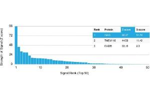 Analysis of Protein Array containing more than 19,000 full-length human proteins using Kappa Light Chain Mouse Recombinant Monoclonal Antibody (rL1C1). (Recombinant IGKC 抗体)