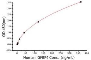 Insulin-Like Growth Factor Binding Protein 2, 36kDa (IGFBP2) (AA 40-328) (Active) protein (His tag)
