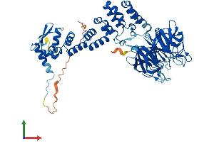 AlphaFold protein structure predicition of Human Recombinant KLHL24 Protein, UniprotID Q6TFL4