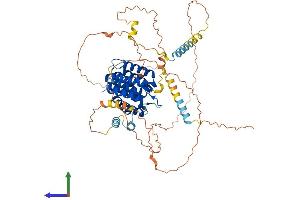 Protein Structure (PS) image for CBP80/20-Dependent Translation Initiation Factor (CTIF) (AA 1-600) protein (His tag) (ABIN7564121)