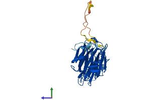 Protein Structure (PS) image for Galectin 4 (LGALS4) (AA 1-323) protein (His tag) (ABIN7549023)