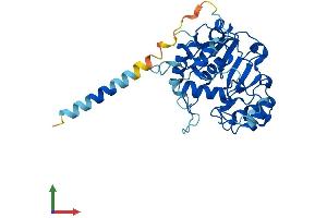 Protein Structure (PS) image for ST3 beta-Galactoside alpha-2,3-Sialyltransferase 4 (ST3GAL4) (AA 1-333) protein (His tag) (ABIN7546093)