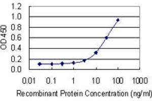 Detection limit for recombinant GST tagged MSN is 1 ng/ml as a capture antibody. (Moesin 抗体  (AA 422-531))