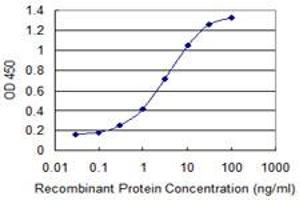 Detection limit for recombinant GST tagged MEFV is 0. (MEFV 抗体  (AA 1-110))