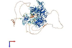 RENT1/UPF1 Protein (AA 1-1124) (His tag)