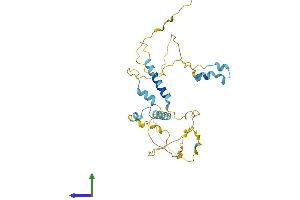 Protein Structure (PS) image for Family with Sequence Similarity 110, Member A (FAM110A) (AA 1-295) protein (His tag) (ABIN7547488)