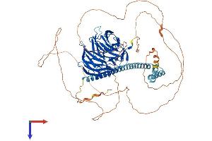 AlphaFold protein structure predicition of Human Recombinant TLE3 Protein, UniprotID Q04726 (TLE3 Protein (AA 1-772) (His tag))