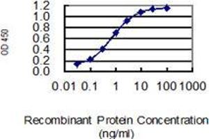 Detection limit for recombinant GST tagged PNOC is 0. (PNOC 抗体  (AA 96-168))