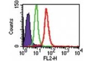 Image no. 1 for anti-Toll-Like Receptor 8 (TLR8) (AA 750-850) antibody (PE) (ABIN959905) (TLR8 抗体  (AA 750-850) (PE))