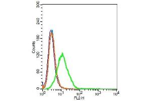 HEK 239T cells probed with VLDL Receptor Polyclonal Antibody, Unconjugated  at 1:20 for 30 minutes followed by incubation with a conjugated secondary (PE Conjugated) (green) for 30 minutes compared to control cells (blue), secondary only (light blue) and isotype control (orange).