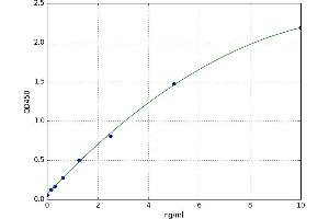 A typical standard curve (DnaJ (Hsp40) Homolog, Subfamily B, Member 3 (DNAJB3) ELISA 试剂盒)