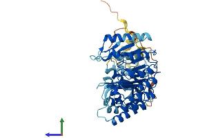AlphaFold protein structure predicition of Human Recombinant PRAMEF25 Protein, UniprotID A6NGN4