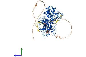 AlphaFold protein structure predicition of Mouse Recombinant Tmprss13 Protein, UniprotID Q5U405