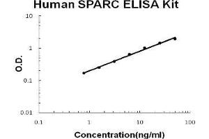 Human SPARC PicoKine ELISA Kit standard curve (SPARC ELISA 试剂盒)