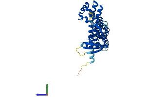 Protein Structure (PS) image for Chromosome 9 Open Reading Frame 100 (C9orf100) (AA 1-335) protein (His tag) (ABIN7552317)